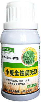 小麦全蚀病无踪