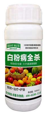 白粉病全杀