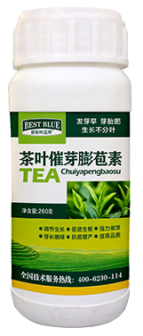 茶叶催芽膨苞素