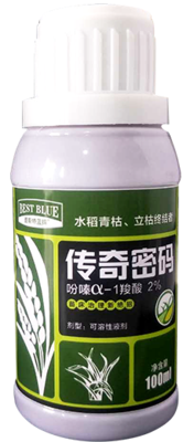 传奇密码