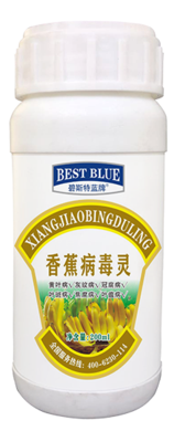 香蕉病毒灵