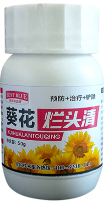 葵花烂头清