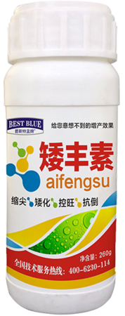 矮丰素
