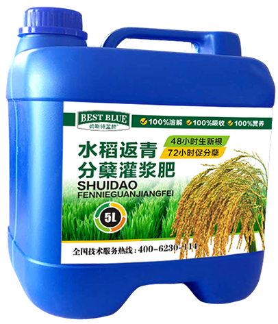 水稻返青分蘖灌浆肥
