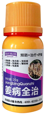 姜病全治20g