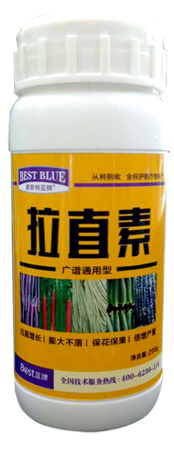 拉直素
