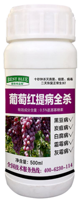 葡萄红提病全杀